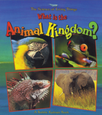 What is the Animal Kingdom?